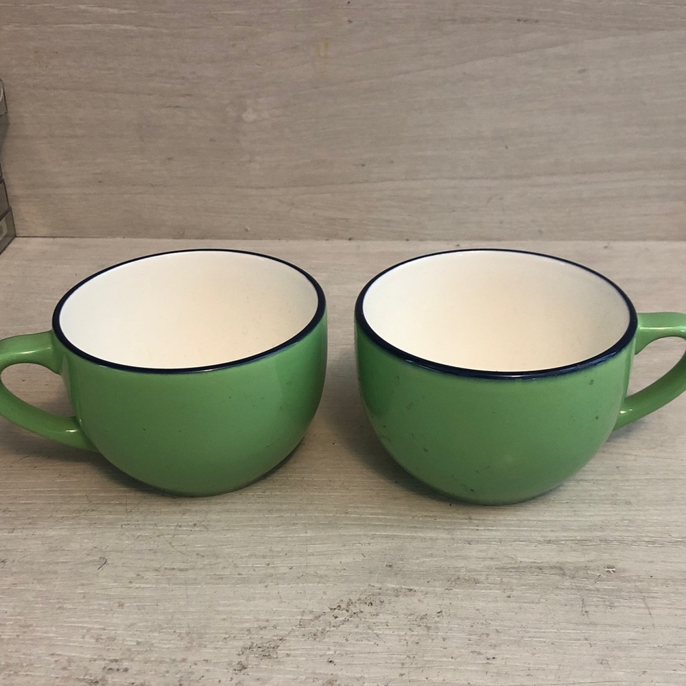 Pagnossin Treviso Italy 12 oz. Ceramic Coffee Cups Set of 2 Green Blue & White
